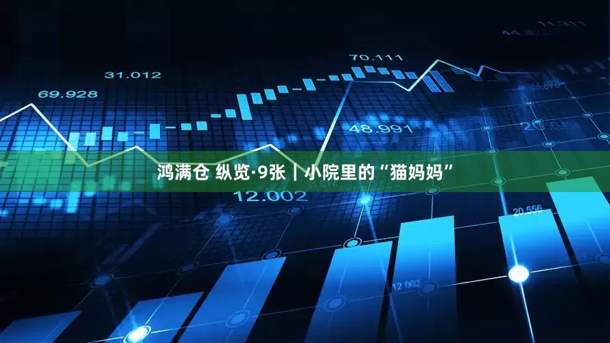 鸿满仓 纵览·9张｜小院里的“猫妈妈”