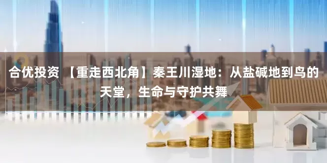 合优投资 【重走西北角】秦王川湿地：从盐碱地到鸟的天堂，生命与守护共舞