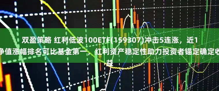 双盈策略 红利低波100ETF(159307)冲击5连涨，近1年净值涨幅排名可比基金第一，红利资产稳定性助力投资者锚定确定收益