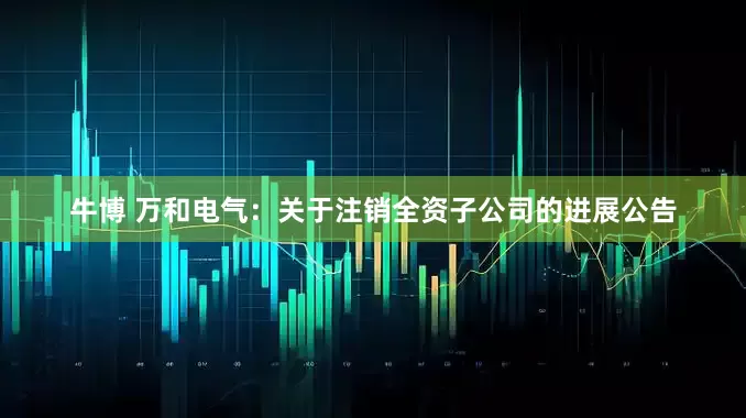 牛博 万和电气：关于注销全资子公司的进展公告